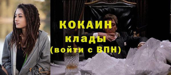 амф Богданович