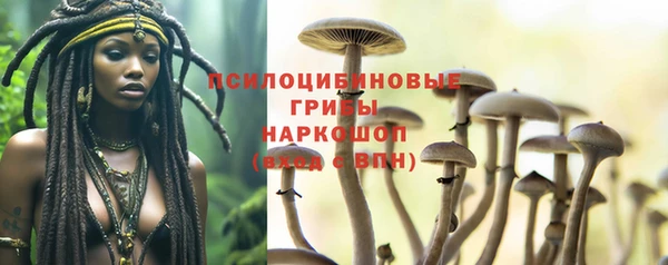 амф Богданович