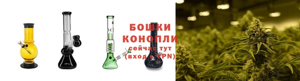 амф Богданович