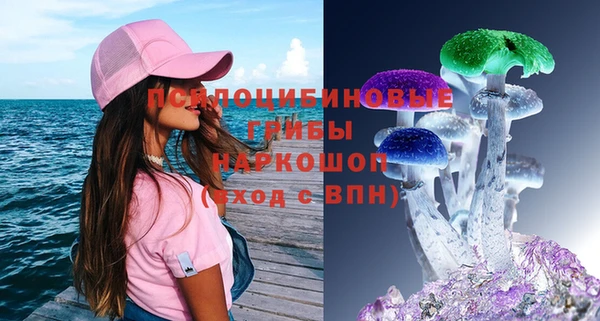 амф Богданович