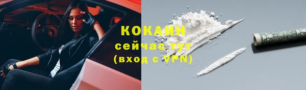 соль ск Богородск