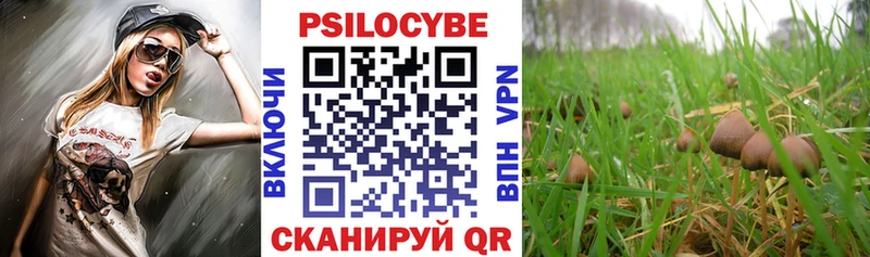 Псилоцибиновые грибы мицелий  hydra ССЫЛКА  Уфа 